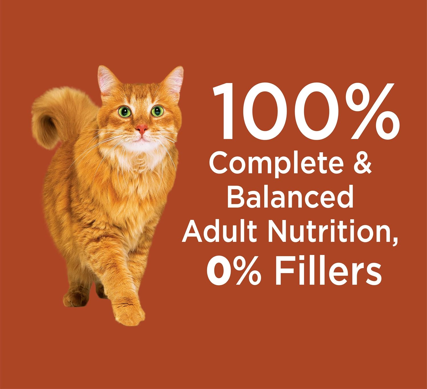 iams high protein cat food