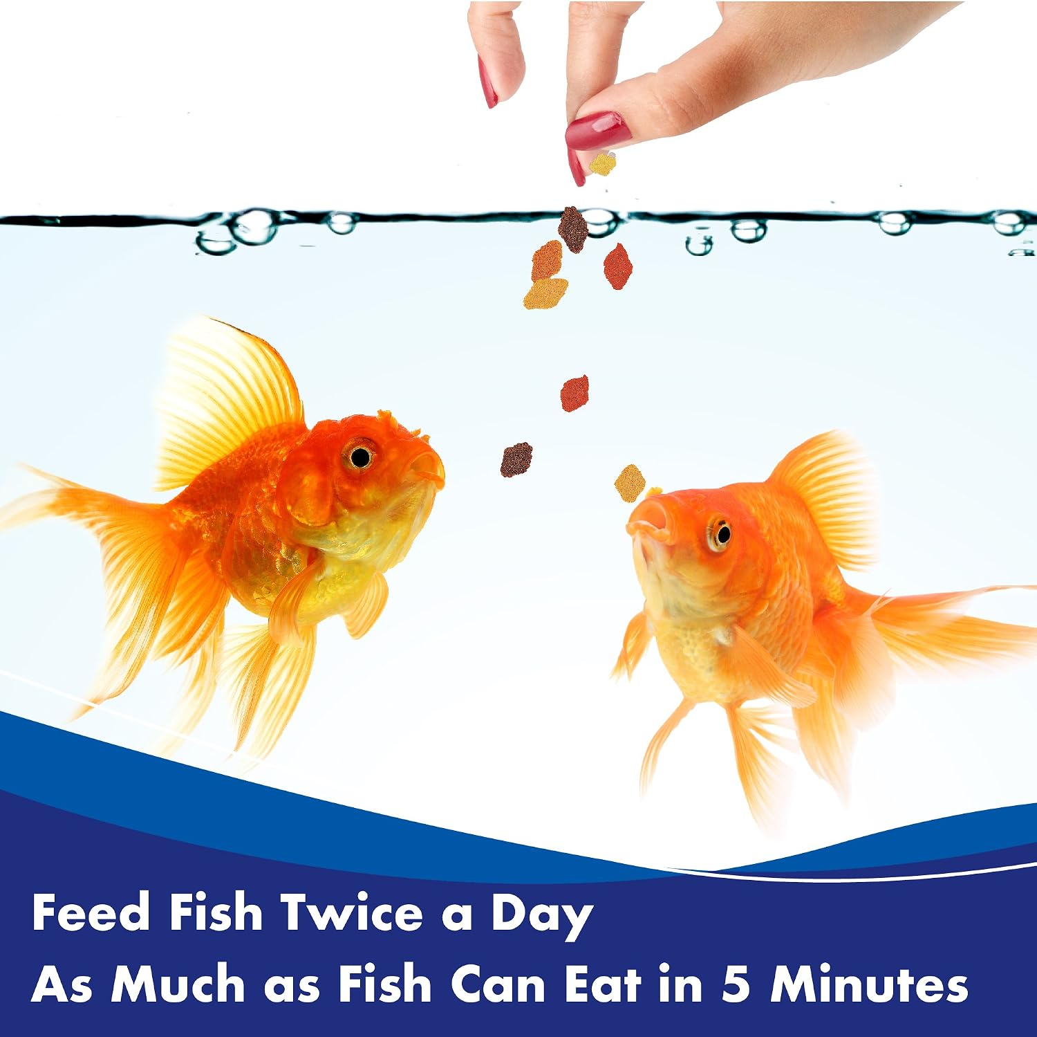 Aquarian Goldfish Food Flakes, 50g, May Vary, 50 g (Pack of 1) - Image 5