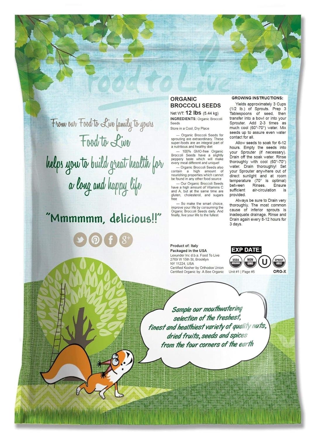 Semillas de Brócoli orgánico para brotar, 1 Libra - Sin OGM ...