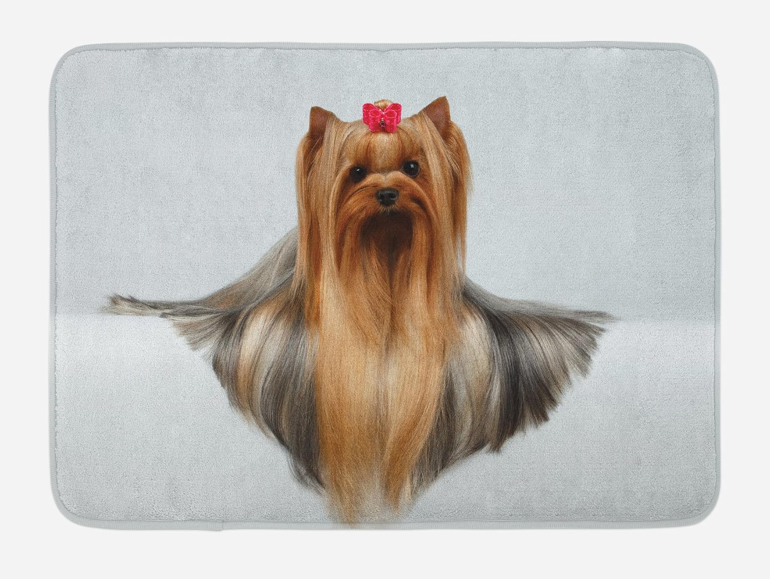 Buy Ambesonne Yorkie Bath Mat By Cute Photo Of Yorkshire Terrier