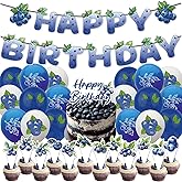 Blueberry Birthday Decorations Party Supplies Includes Birthday Banner Cake Topper Cupcake Toppers Balloons for Fruit Party Baby Shower Decorations