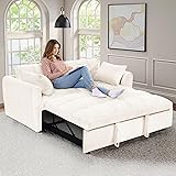 Lyngins 65 Inch Queen Size Sleeper Sofa Bed, 3 in 1