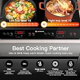 AAOBOSI Double Induction Hob Induction Cooker 2800W Dual Zone Portable Glass view 4