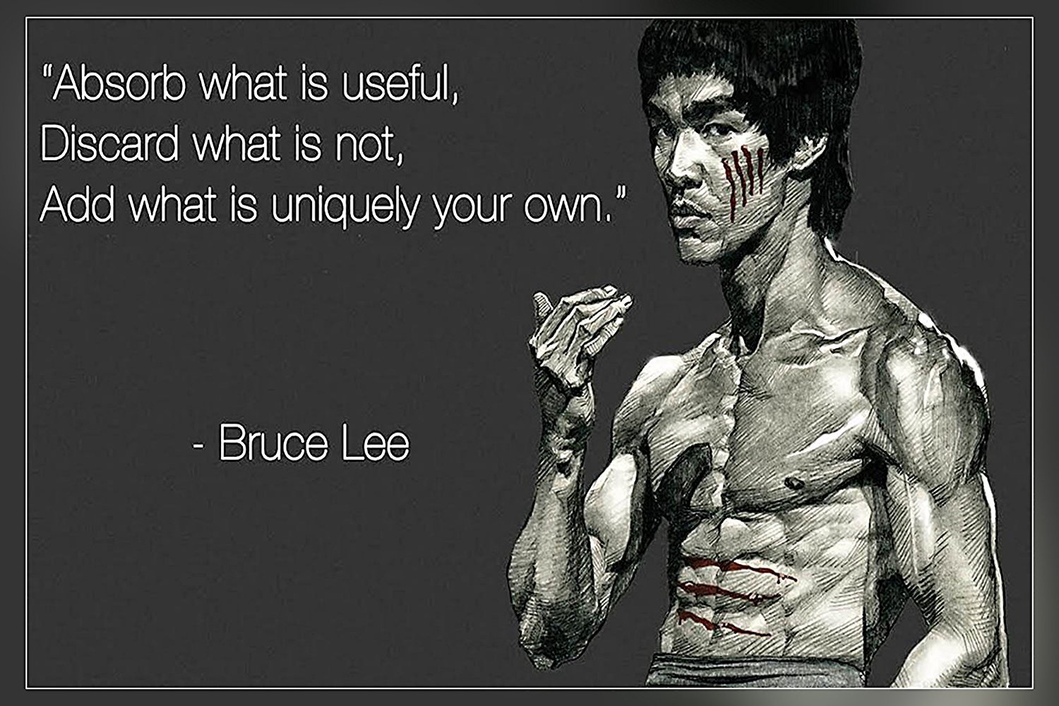 bruce lee pl