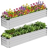 Bujijun 2 Pack 6x1.5x1FT Galvanized Metal Raised Garden Bed Kit for Vegetables, Herbs, Open-Bottom Large Capacity Outdoor Planter Box Gardening Stakes, Silver