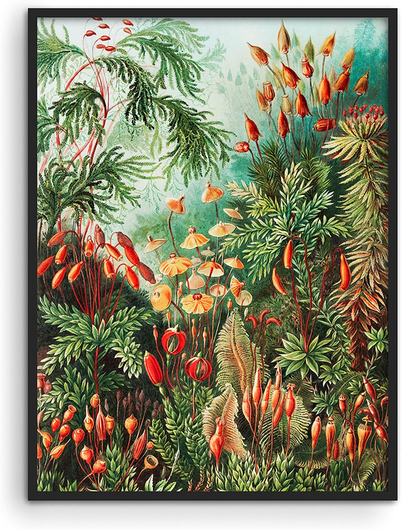 HAUS AND HUESErnst Haeckel Poster & Vintage Botanical Prints Vintage Flower Poster & Plant Poster Vintage Wall Art Cottagecore Poster Vintage Plant Poster Botanical Posters UNFRAMED 12x16 (Bush)