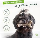 Benebone Indestructible Stick Dog Chew Toy Real Bacon Flavor Small Dogs view 3