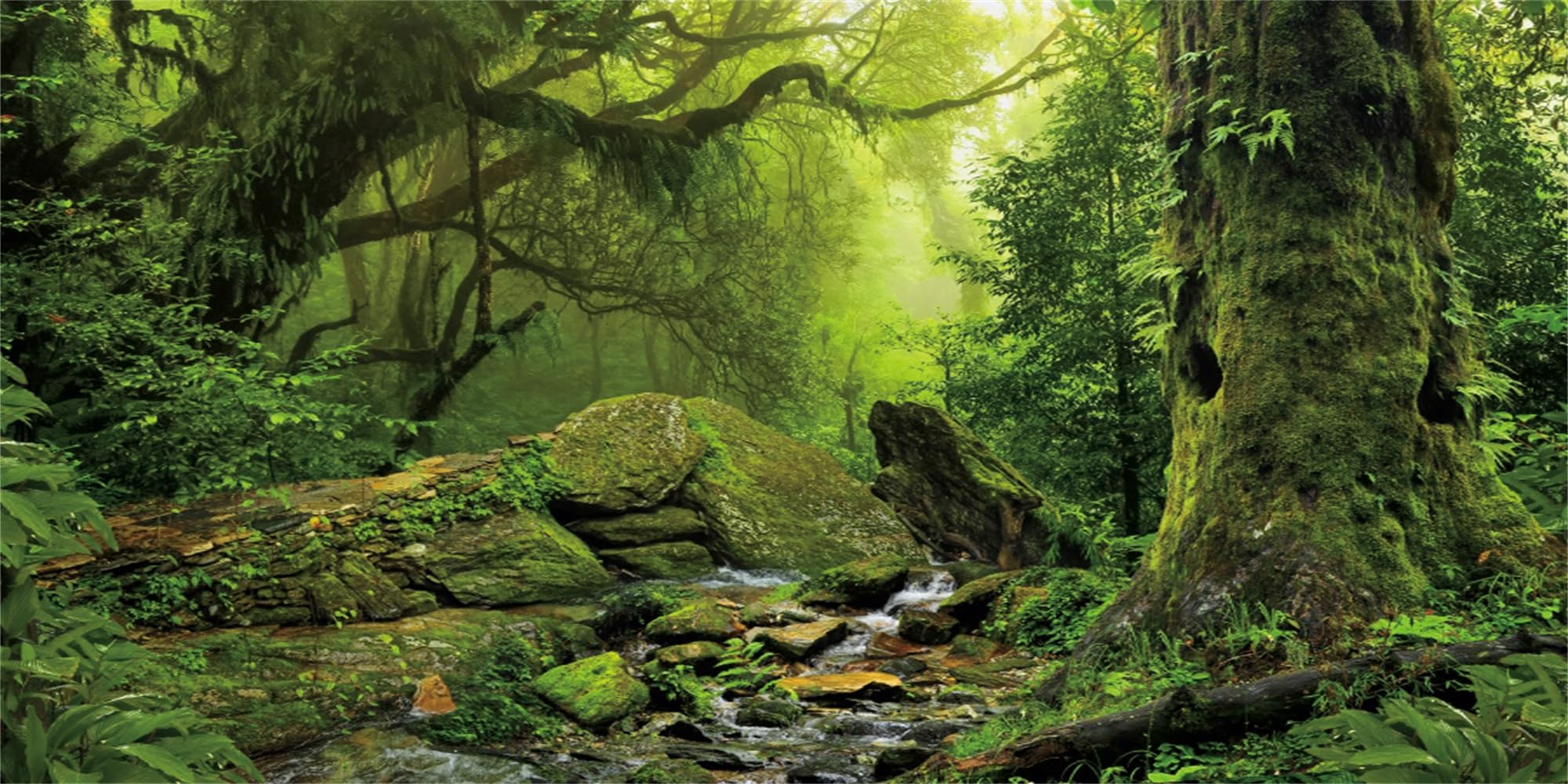 MIRRORANG 91x50cm Tropical Forest Terrarium Background Stream Green Huge Tree Reptile Habitat Background Foggy Rainforest Aquarium Background Vinyl