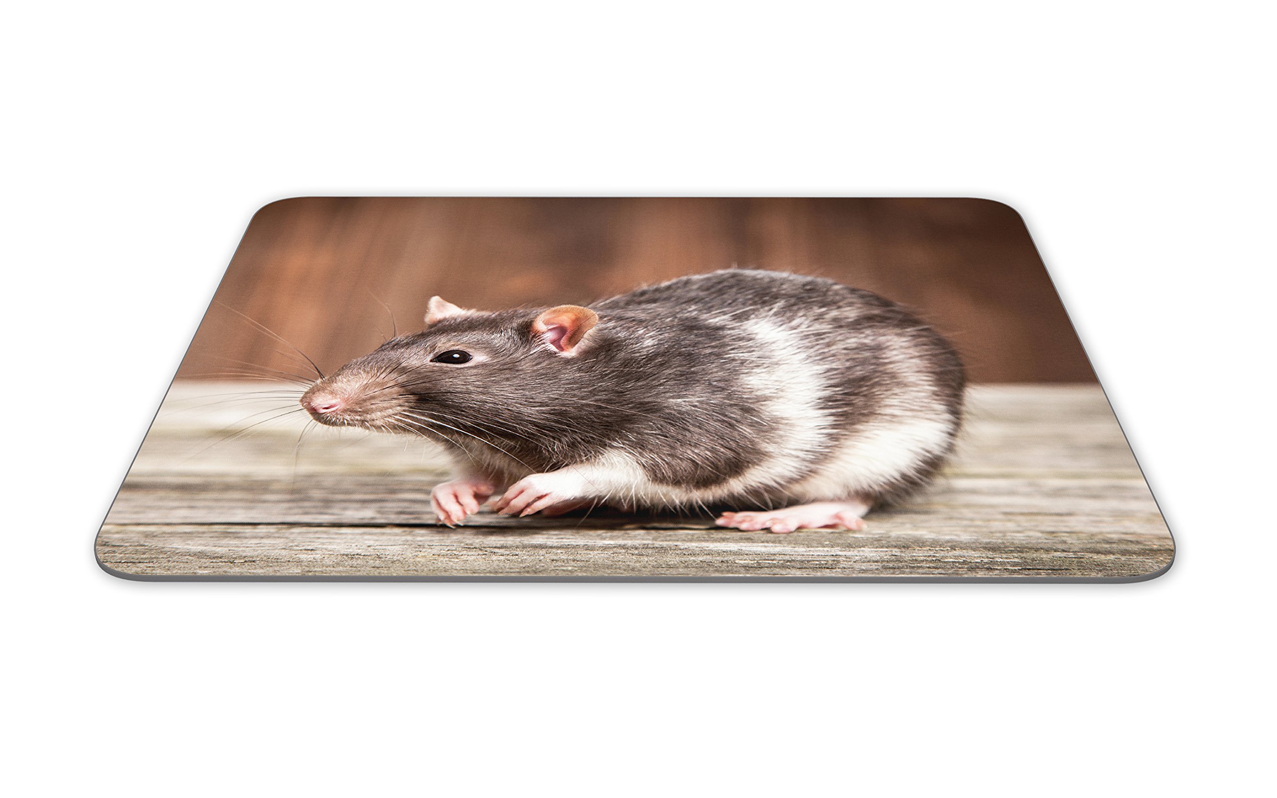 Adorable Pet Rat Mouse Mat Pad Rats Rodent Mice Cute Fun Gift