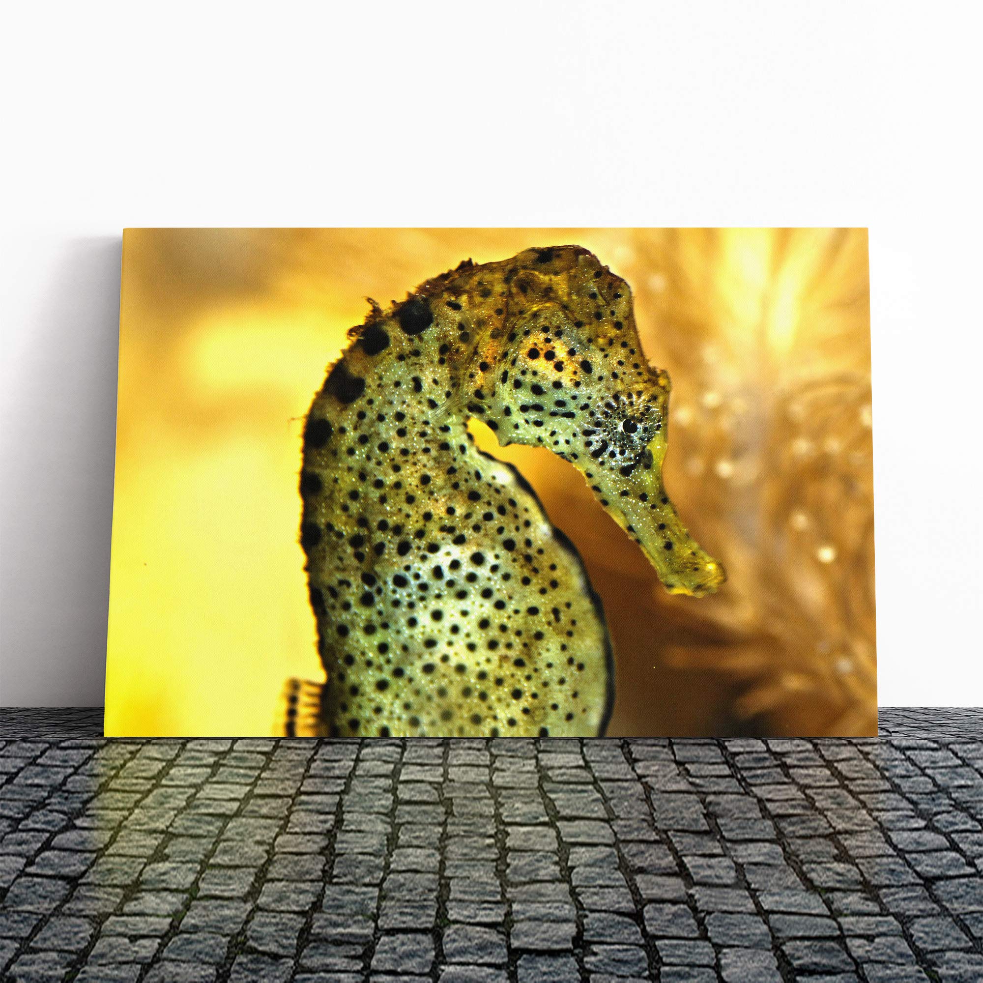 Seahorse Canvas Print | Gallery Wrapped 30mm Frame Wall Art | 20x14 inches | Ready to Hang | Modern Animals Picture | Living Room Bedroom Lounge Office