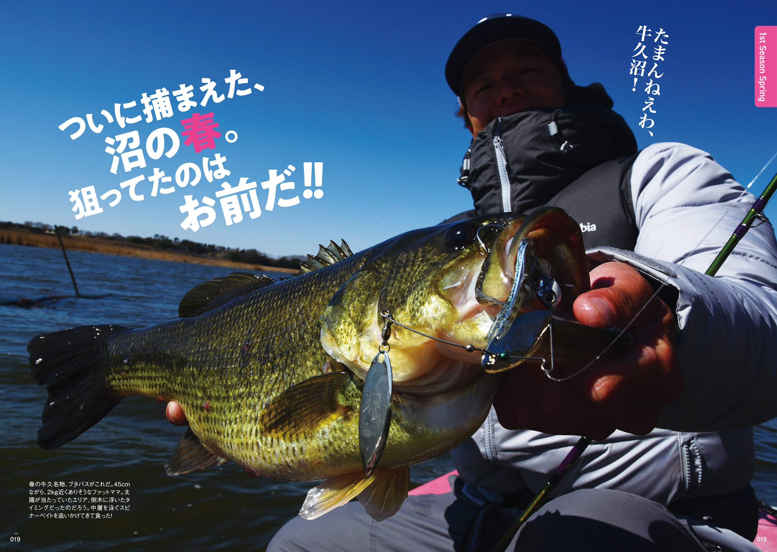 なぜボクだけが釣れるのか 春夏秋冬秘密のビッグバスパターン40 伊藤 巧 本 通販 Amazon