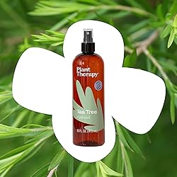 Plant Therapy Tea Tree (Melaleuca) Hydrosol 16 oz