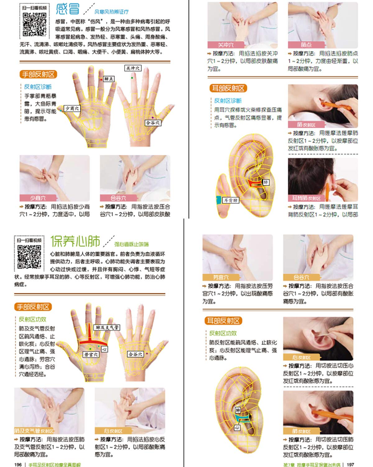 手耳足反射区按摩全真图解 李志刚 Amazon Com Books