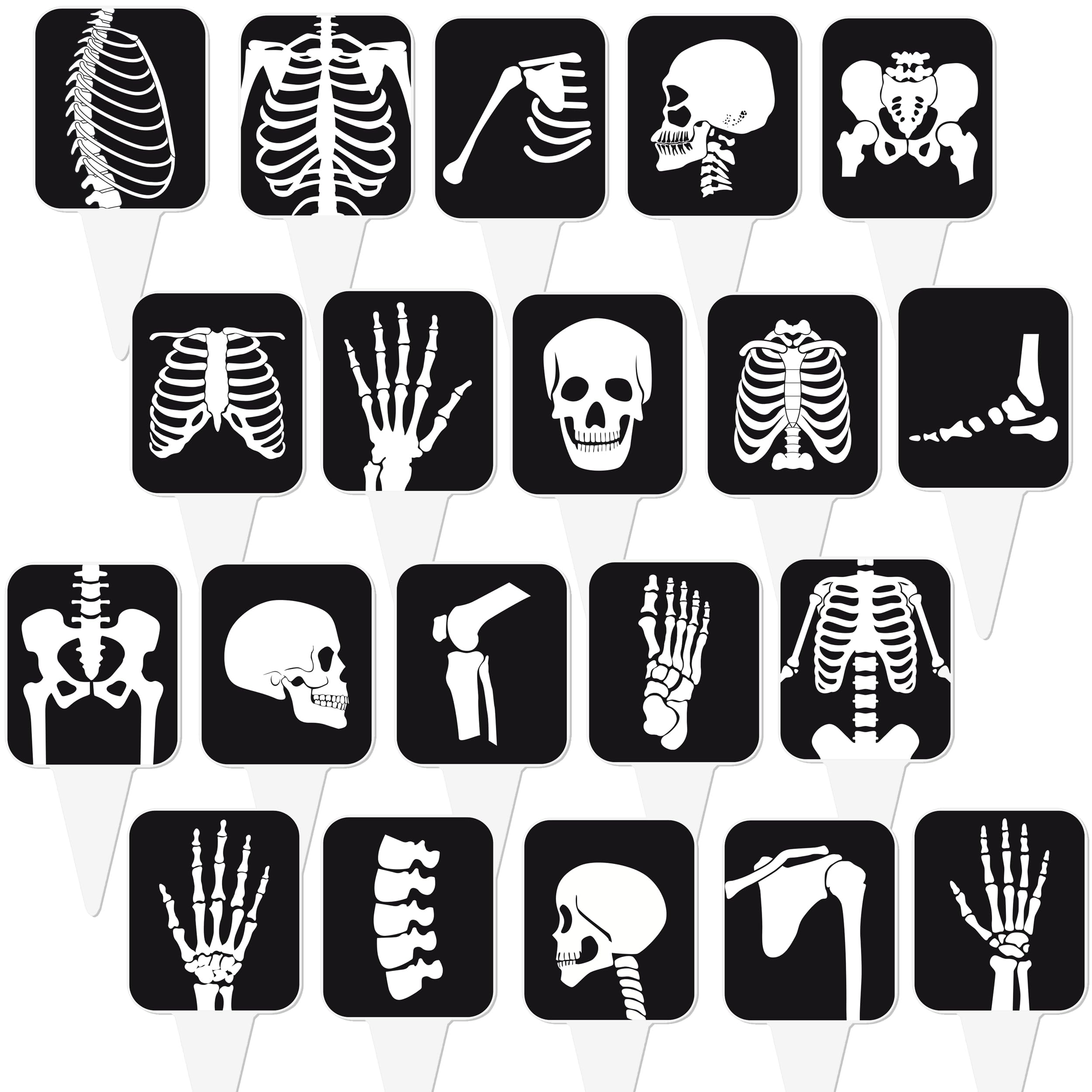 Photo 1 of 48Pcs X Ray Cupcake Toppers Radiology Tech Week Decorations X-ray Radiology Tech Graduation Theme Cupcake Picks Decorations for Rad Doctor Nurse Skeleton Bone Party Supplies