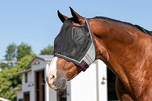 KENSINGTON PROTECTIVE PRODUCTS Kensington UViator CatchMask Horse Fly Mask with Web Trim UV Eye Protection Mask for Horse - Large, Imperial Jade