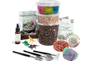 Creations by Nathalie – Premium Small DIY Terrarium Kit for Succulents, Cacti & Air Plants, Includes Soil, Moss, Pebbles, Tools, Amethyst Gem & Crystal Chips – Handmade in USA