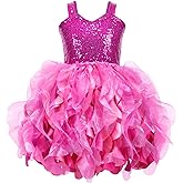 HB HBB MAGIC Tutu Sparkly Sequin Dress Girls Toddler Prom Birthday Party Formal Fancy Pink Dresses