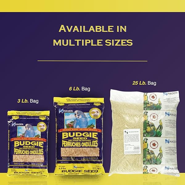 HAGEN PARAKEET/BUDGIE STAPLE WHITE MILLET BIRD SEED – PREMIUM BLEND, NUTRITIONALLY BALANCED, FORTIFIED WITH VITAMINS & MINERALS, DUST-FREE MIX FOR BUDGIES, 6 LB BAG