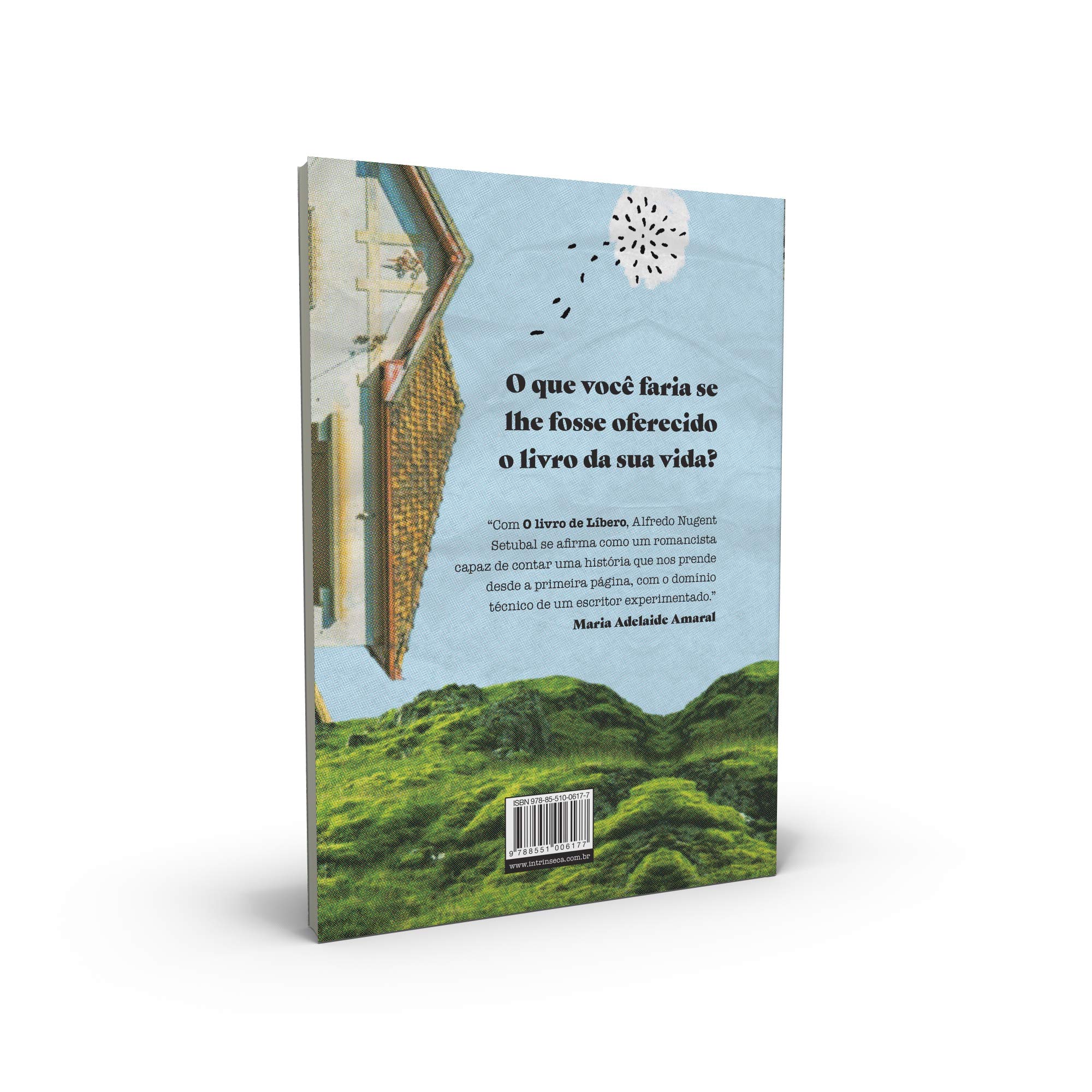 Livro 'O Livro de Líbero' por Alfredo Nugent Setubal