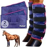 Magic Gel Horse Ice Pack with Carry Case - Twin Ice Boots | Cooling Horse Leg Wraps for Hock, Ankle, Knee, Legs, Boots, and Hooves | Horse Tack, Horse Supplies &amp; Horse Gift Ideas for Horse Lovers