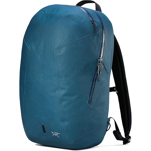 Amazon.com: Arc'teryx Blade 20 Backpack (Black) : Electronics