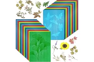LIGHOON Colorful Cyanotype Papers, 36 Sheets Thick Sun Print Paper High Sensitive Nature Sun/Solar Activated Sun Printing Art Paper for Arts Crafts DIY Project, 6 Colors