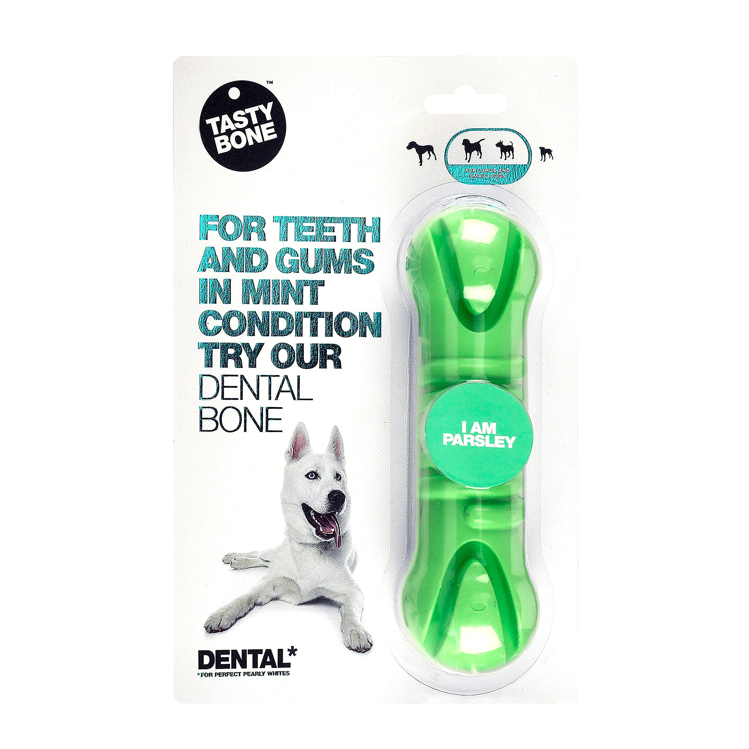 TastyBone TastyBrush Dental Nylon Dog Chew Toy (Parsley) - Strong Healthy Teeth & Gums, Indestructible for Aggressive Chewers, Everlasting Flavour, Made in the UK — image 1