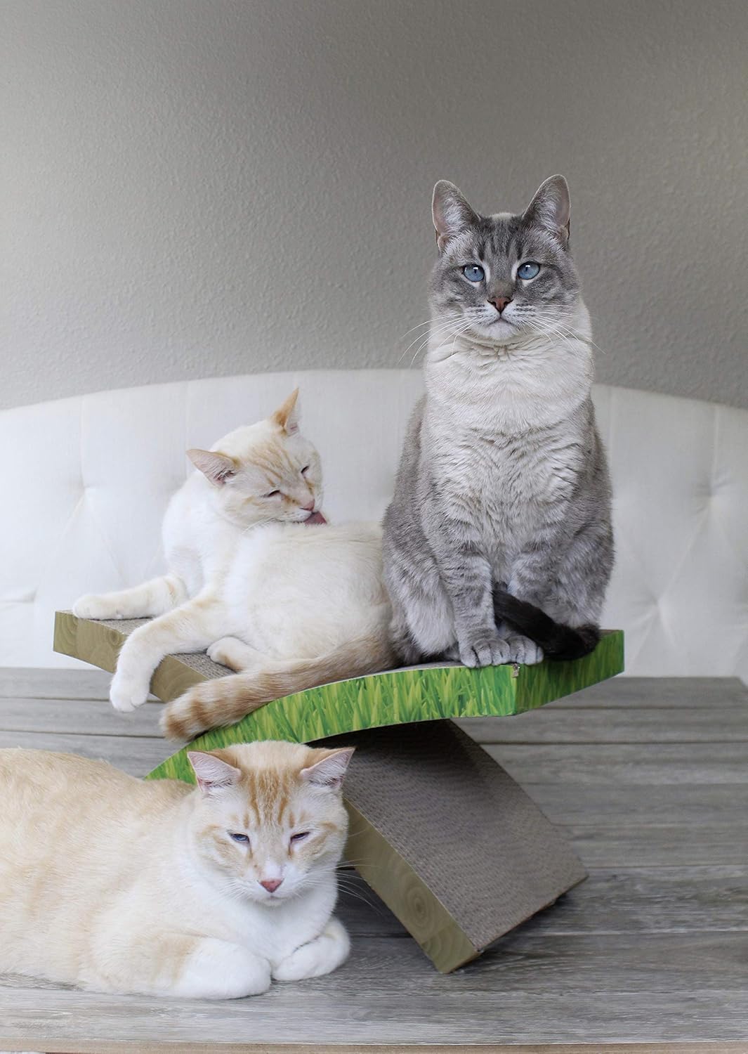 Petstages Easy Life Hammock Cat Scratcher, Tan : Pet Supplies