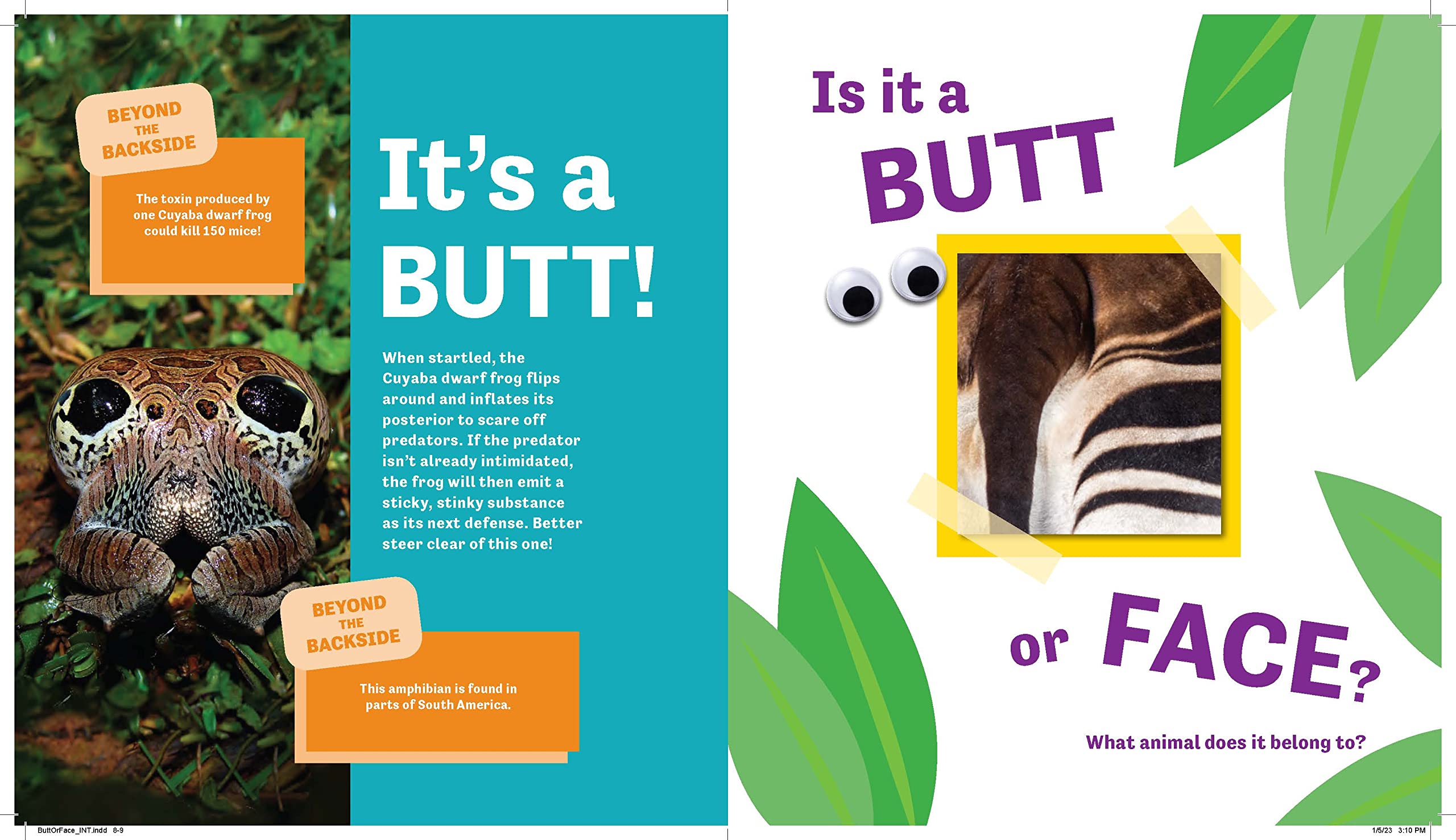 Butt or Face?: A Hilarious Animal Guessing Game Book for Kids