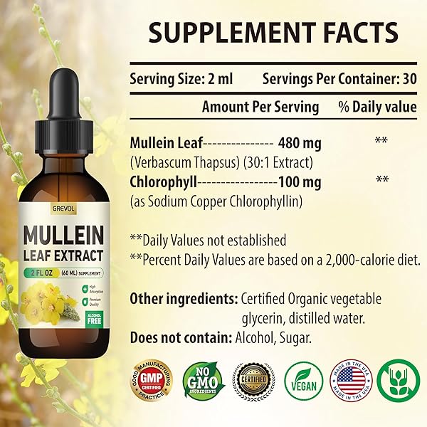 GREVOL MULLEIN DROPS FOR LUNGS, ORGANIC MULLEIN LEAF EXTRACT FOR LUNGS DETOX WITH CHLOROPHYLL HERBAL SUPPLEMENT, MULLEIN TINCTURE FOR RESPIRATORY& IMMUNE SUPPORT, NON-GMO VEGAN, 2 FL OZ