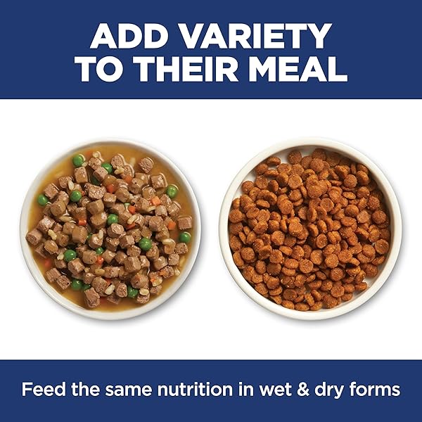 HILL’S SCIENCE DIET ADULT SENSITIVE STOMACH & SKIN DRY CAT FOOD, POLLOCK MEAL & BARLEY RECIPE, 6 LB. BAG (UPDATED FORMULA)