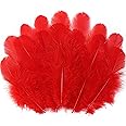 Soarer Red Craft Feathers Bulk - 300pcs 3-5inch Natural Feathers for Wedding Home Party, Dream Catcher Supplies and DIY Crafts(Red)