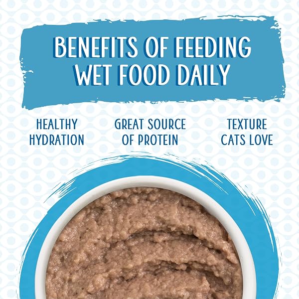 WERUVA SLIDE N’ SERVE PATÉ WET CAT FOOD, JEOPURRDY LICIOUS CHICKEN DINNER, 2.8OZ POUCH (PACK OF 12)