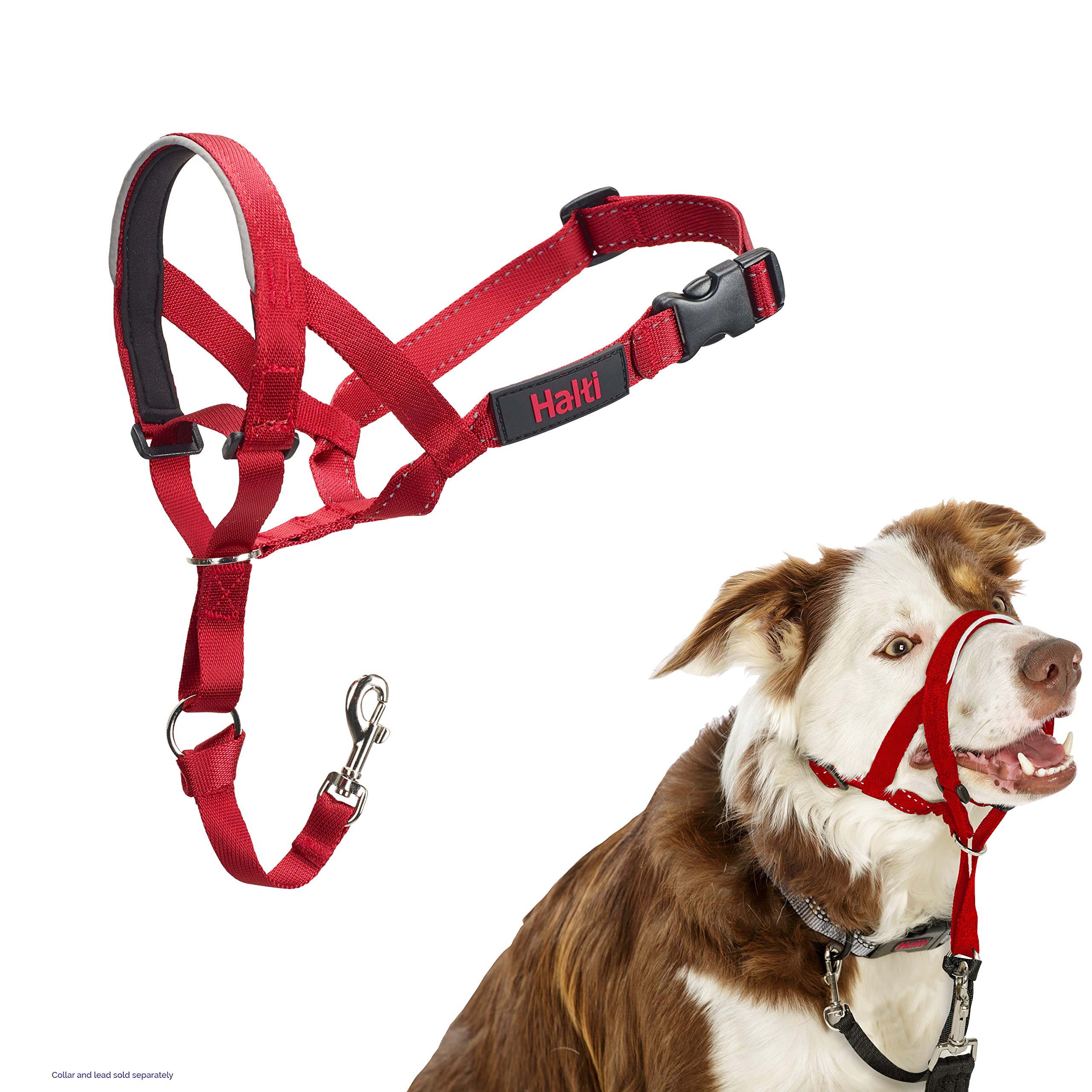 Halti Headcollar - Stop Your Dog Pulling on the Lead. Adjustable, Reflective and Lightweight, with Padded Nose Band. Dog Training Anti-Pull Collar for Medium Dogs (Size 2, Red)