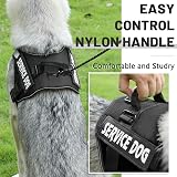 Belababy Soft No Pull Dog Harness Small Reflective Adjustable Vest Black view 5