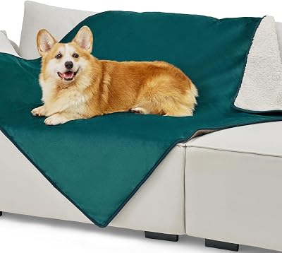 LE SURE Waterproof Dog Blanket 120x100cm Fleece Plush Reversible Green