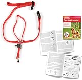 Beaphar Gentle Leader Head Collar for Small Dogs - Anti-Pull Training Aid view 2