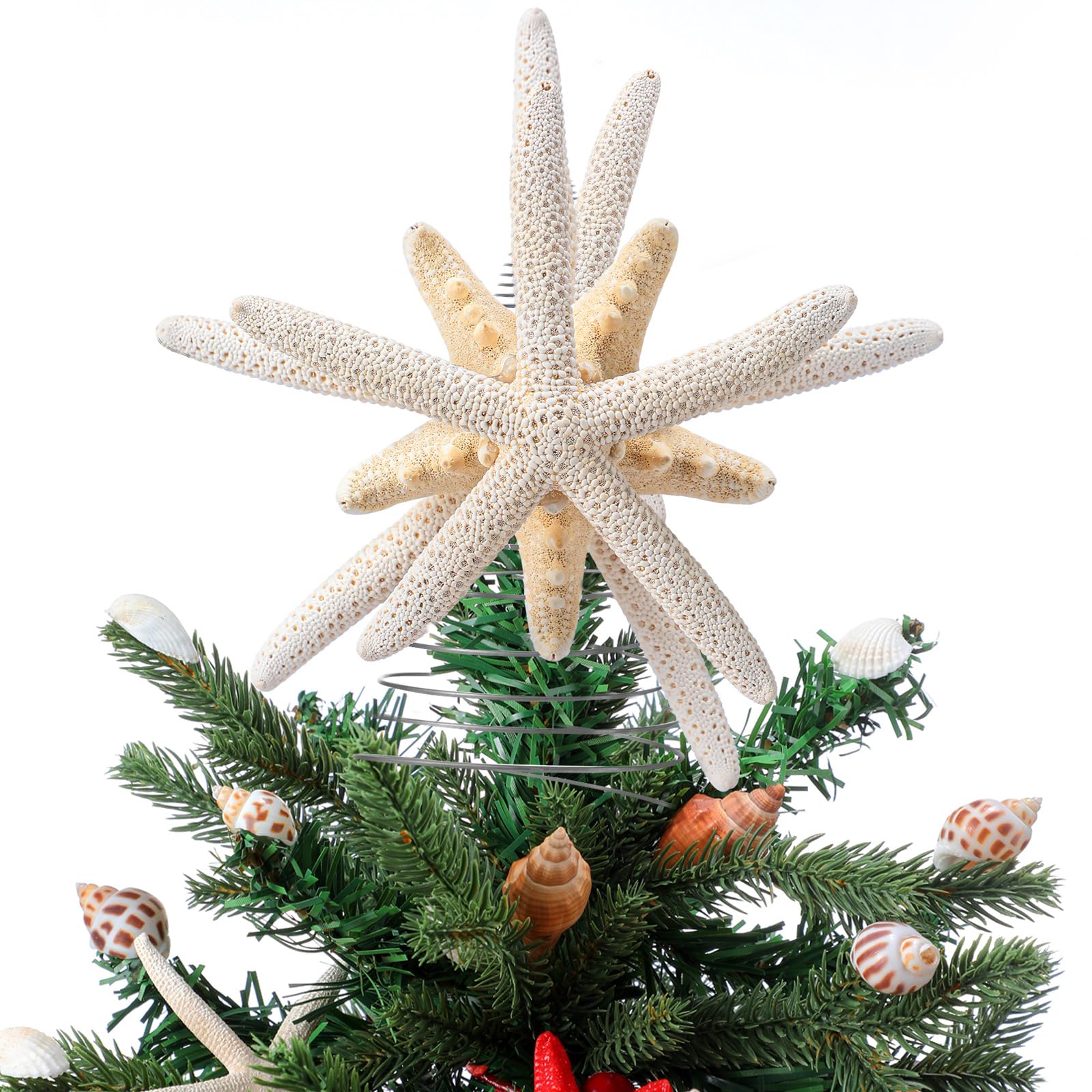 Photo 1 of Demissle 6 Inch Natural Starfish Tree Topper Star Christmas Holiday Decoration Beach Christmas Tree Toppers for Christmas Tree Decoration Home Decor