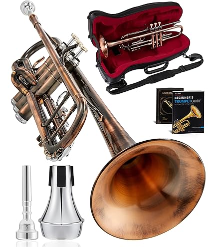 Amazon.com: TRUMPET Bb PITCH BRASS GOLD LOOK WITH FREE HARD CASE
