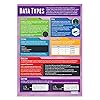 Daydream Education Data Types Computer Science Classroom Poster - EXTRA ...