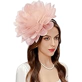 BABEYOND Fascinators Hats for Women - Tea Party Kentucky Fascinator Derby Hat Mesh Flower Fluffy Headband with Hair Clip