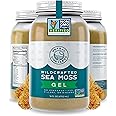Herbal Vineyards Wildcrafted Irish Gold Sea Moss Gel 16 Oz - Organic Seamoss Gel Made with Dried Seaweed & Fresh Sea Vegetables, Natural & Plant-Based, Harvested in Pristine Waters, USA