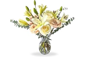 Dominica Bouquets Caramel Roses White Lilies Bouquet - 10 Caramel and White Roses with White Lilies Fast Delivery with Vase, Sympathy Fresh Flowers for Occasions and Decoration