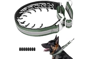 Mayerzon Martingale No Pull Collar for Large Medium Dogs, Patented Dog Walking Training Collar for Pulling, 1.5'' Wide Alloy Buckle, Neoprene Padded, Adjustable, Reflective, Easy to Use(L, Green)