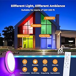 BLNAN RGB Led Flush Mount Ceiling Light with Remote
