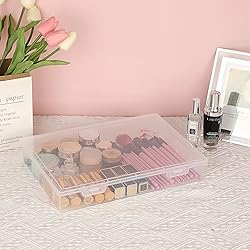 BTSKY Clear Plastic Storage Box with Flap