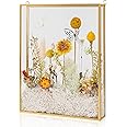 Shadow Box Frame 8x10, Deep Glass Shadow Box Display Case, 3D Shadow Boxes Picture Frame for DIY Wedding Dried Flowers, Memories, Tickets and Photos
