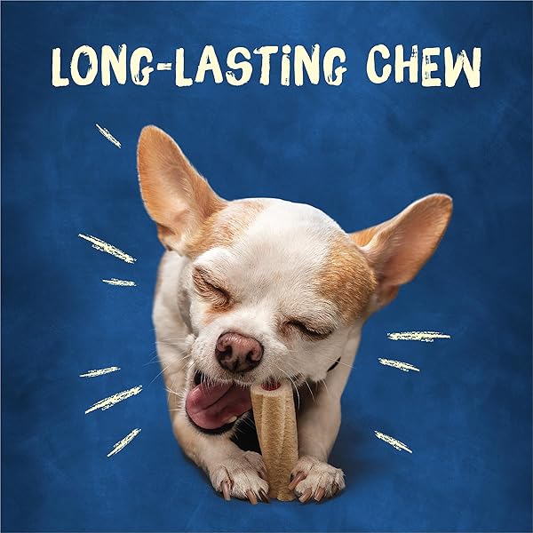 PURINA BUSY BONE ADULT TOY BREED DOG CHEW BONE TREATS, TINY – 60 CT. POUCH