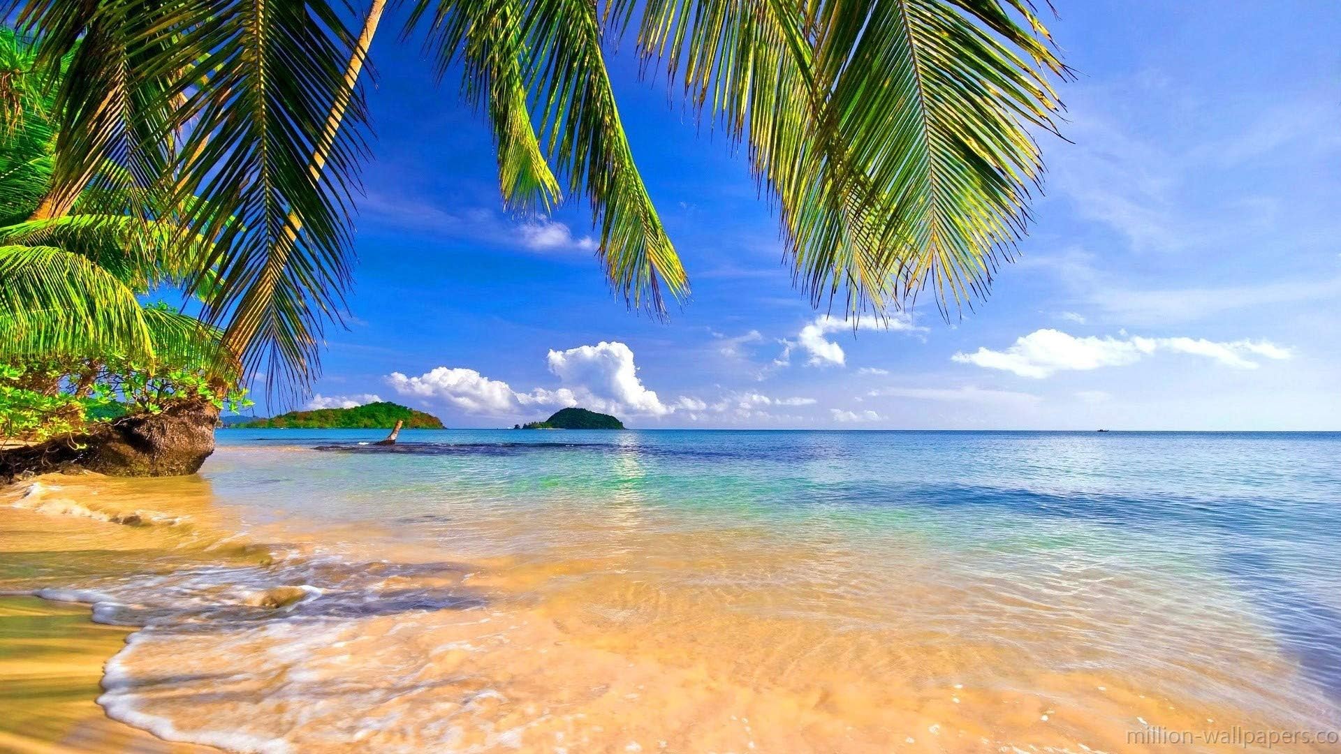 Adult Puzzles 500 Pieces -Wooden Puzzle - Seaside Palm Tree Landscape - Educational Toy for Kids and Adults