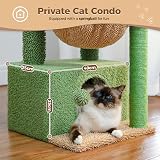 PAWZ Road Cactus Cat Tree 79cm Indoor Cat Tower Green with Condo Hammock view 4